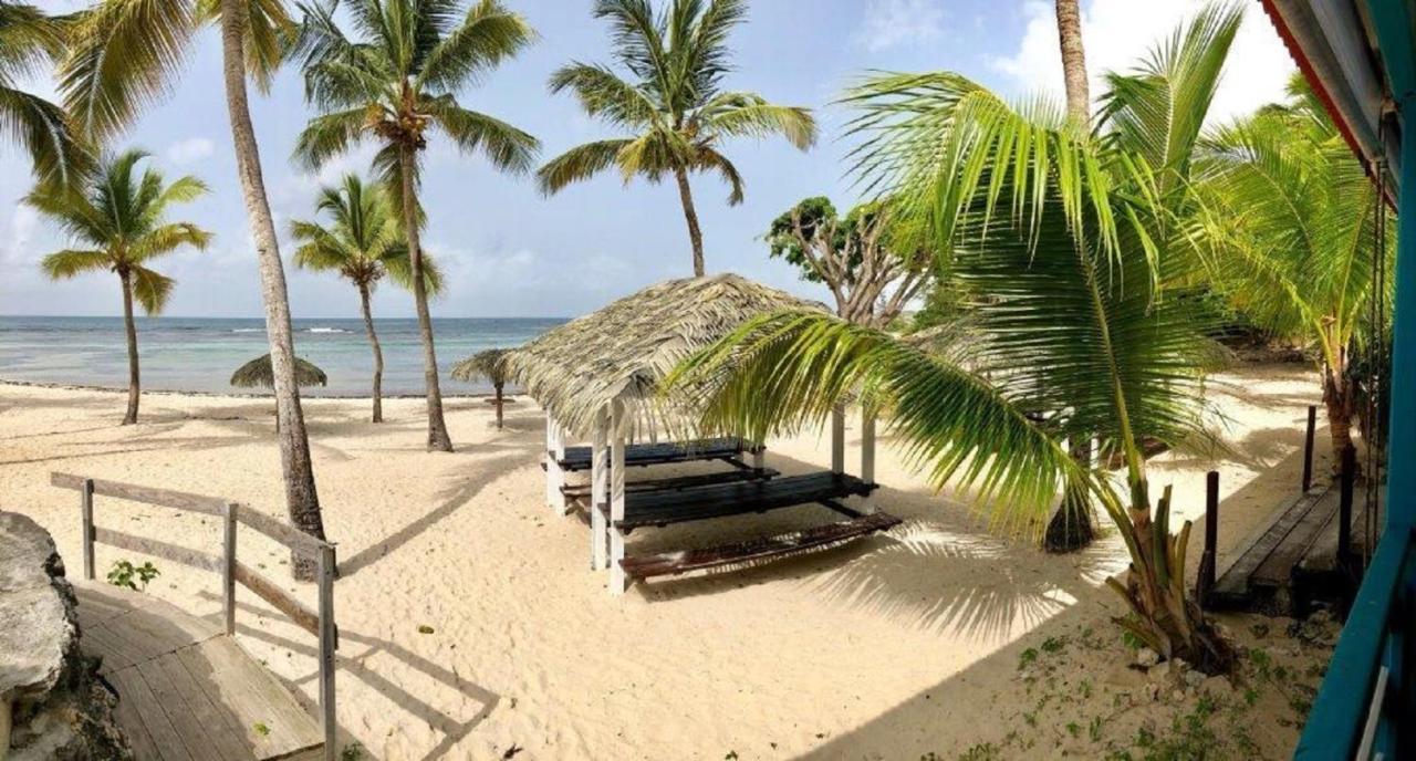 Studio Mojito Vue Mer,Piscine Avec Cuve Eau Et Acces Plage Et Piscine Anse Des Rochers Saint-Francois  Exterior foto