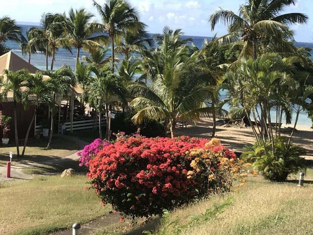 Studio Mojito Vue Mer,Piscine Avec Cuve Eau Et Acces Plage Et Piscine Anse Des Rochers Saint-Francois  Exterior foto