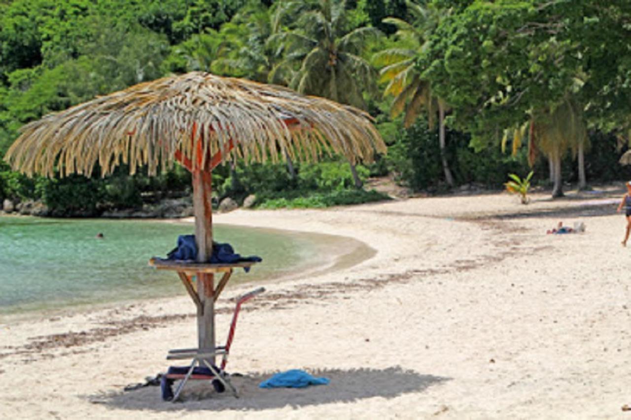 Studio Mojito Vue Mer,Piscine Avec Cuve Eau Et Acces Plage Et Piscine Anse Des Rochers Saint-Francois  Exterior foto